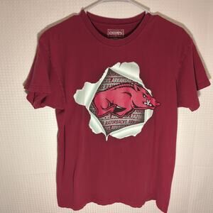 Arkansas Razorbacks S Red 3D Ripped Graphic T-Shirt Champs Sports Team Apparel